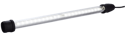 247954